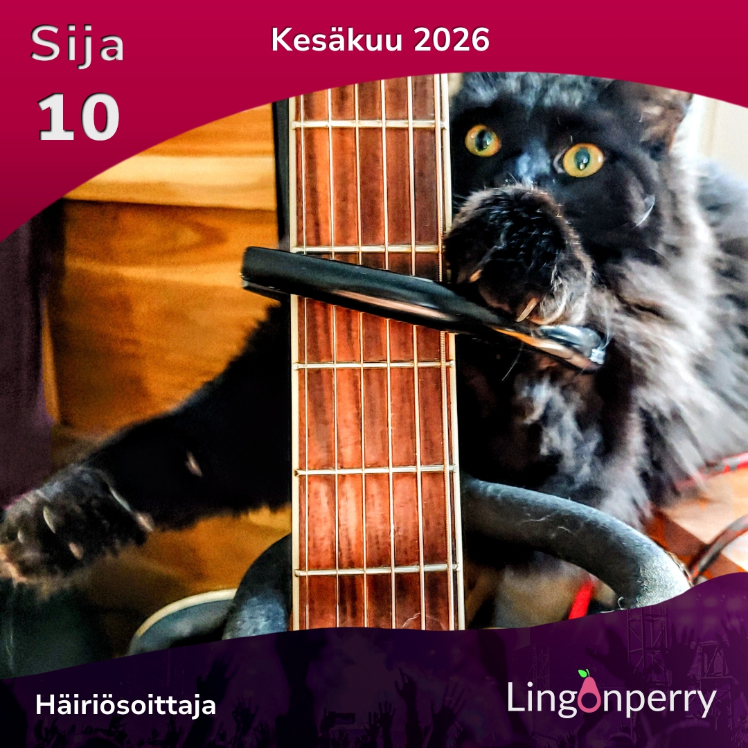 Häiriösoittaja – sija 10